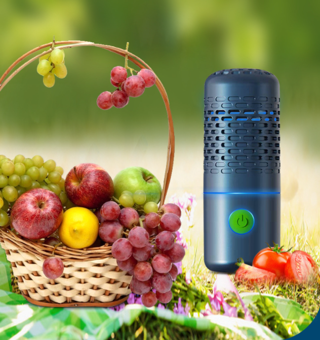 Portable Fruit And Vegetable Purifier