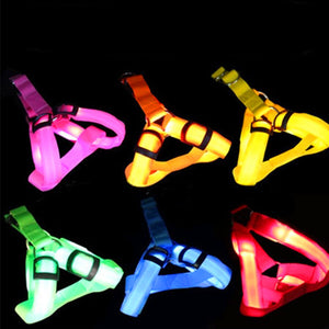 Glow In The Dark Pet Harness