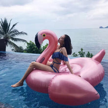 Load image into Gallery viewer, Flamingo Pool Floaty