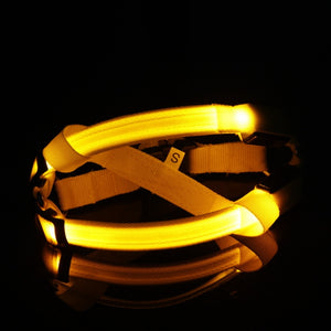 Glow In The Dark Pet Harness