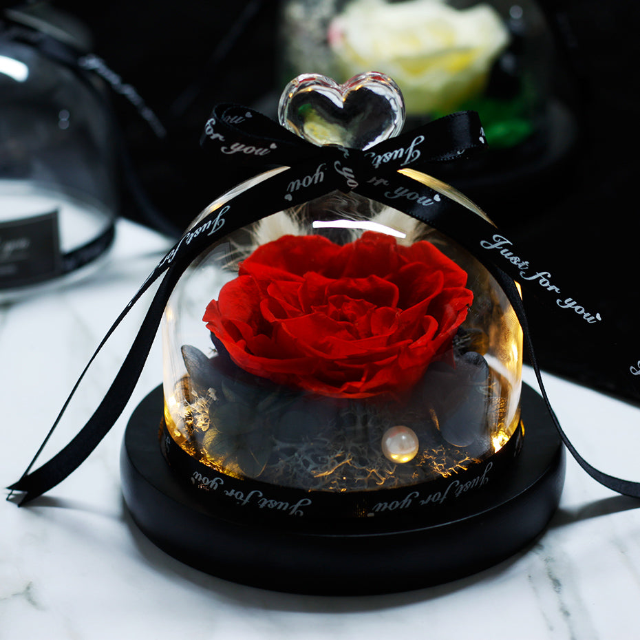 Immortal Glass Cased Rose
