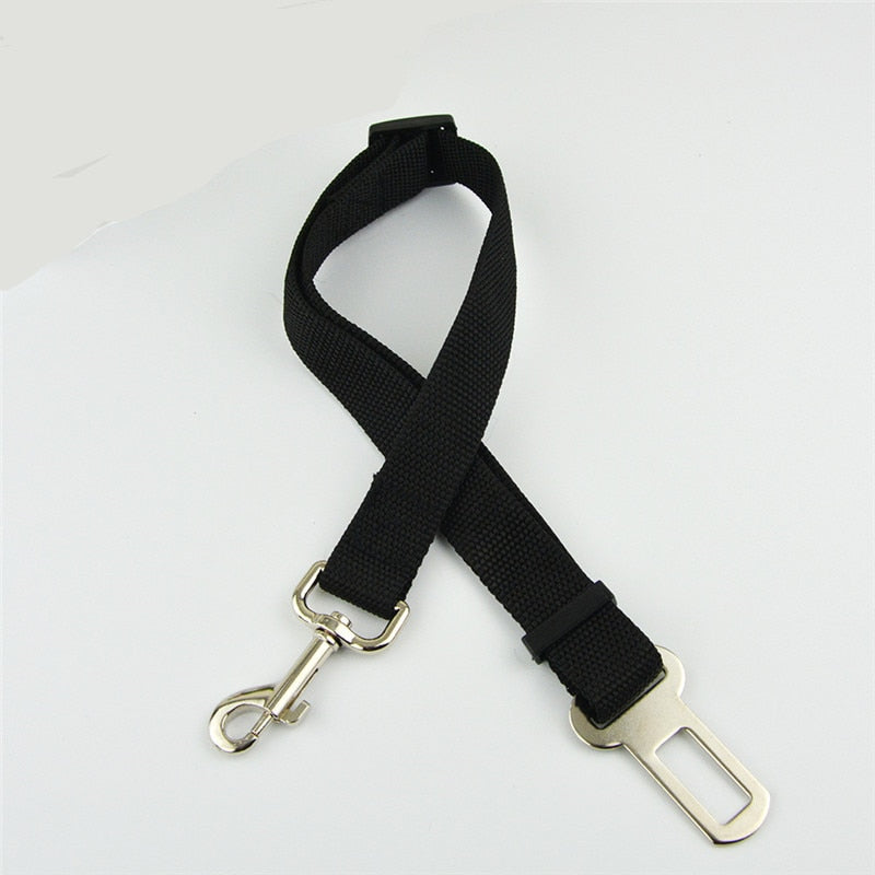 PET SEATBELT