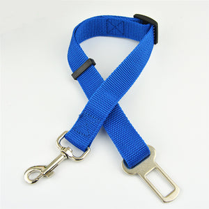 PET SEATBELT
