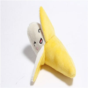 PET SQUEAKY TOY