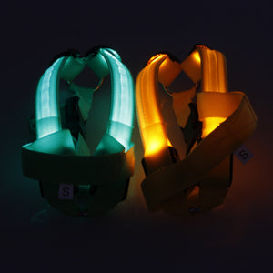 Glow In The Dark Pet Harness