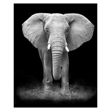 Load image into Gallery viewer, Animal Wall Painting
