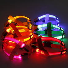 Load image into Gallery viewer, Glow In The Dark Pet Harness