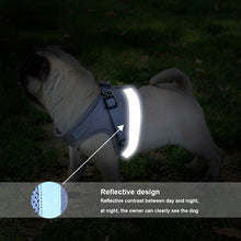 Load image into Gallery viewer, REFLECTIVE PET VEST