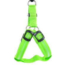 Load image into Gallery viewer, Glow In The Dark Pet Harness
