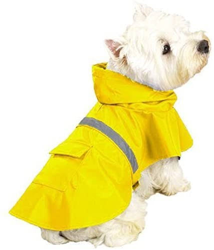 Puppy Raincoat Outfit