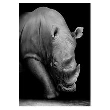 Load image into Gallery viewer, Animal Wall Painting