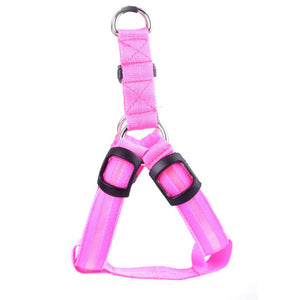 Glow In The Dark Pet Harness