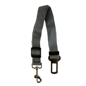 PET SEATBELT