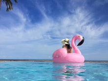 Load image into Gallery viewer, Flamingo Pool Floaty