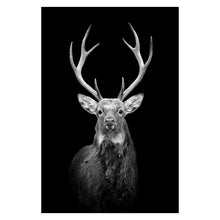 Load image into Gallery viewer, Animal Wall Painting