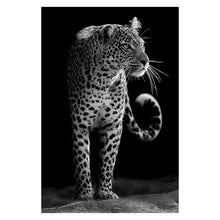 Load image into Gallery viewer, Animal Wall Painting