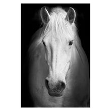 Load image into Gallery viewer, Animal Wall Painting
