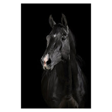 Load image into Gallery viewer, Animal Wall Painting
