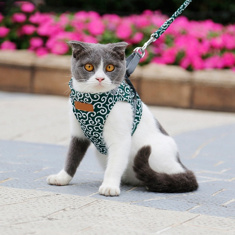Cat Walking Harness Vest for Outdoor