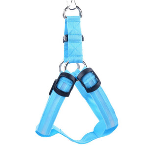 Glow In The Dark Pet Harness