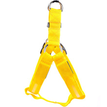 Load image into Gallery viewer, Glow In The Dark Pet Harness