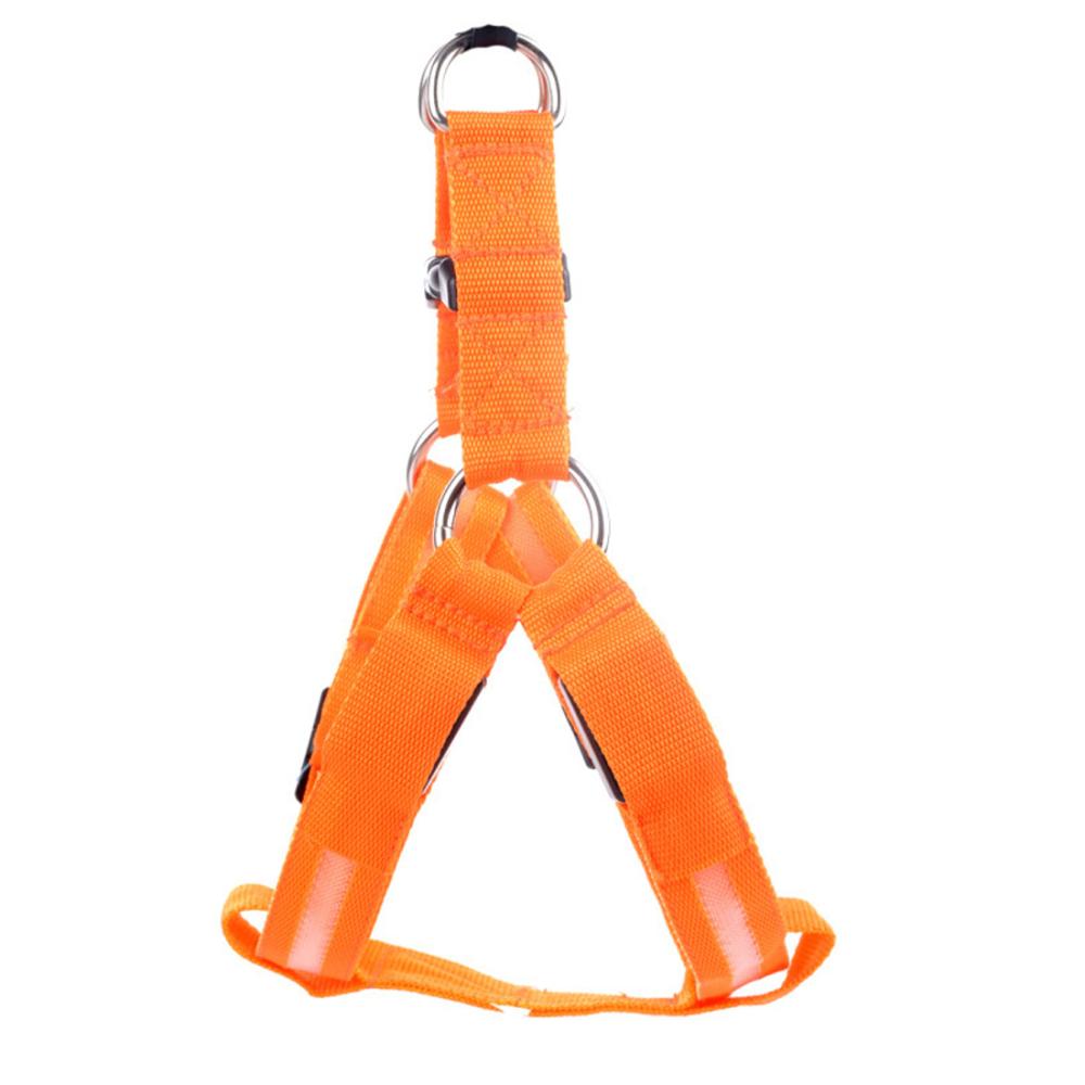 Glow In The Dark Pet Harness